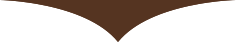 divider-brown